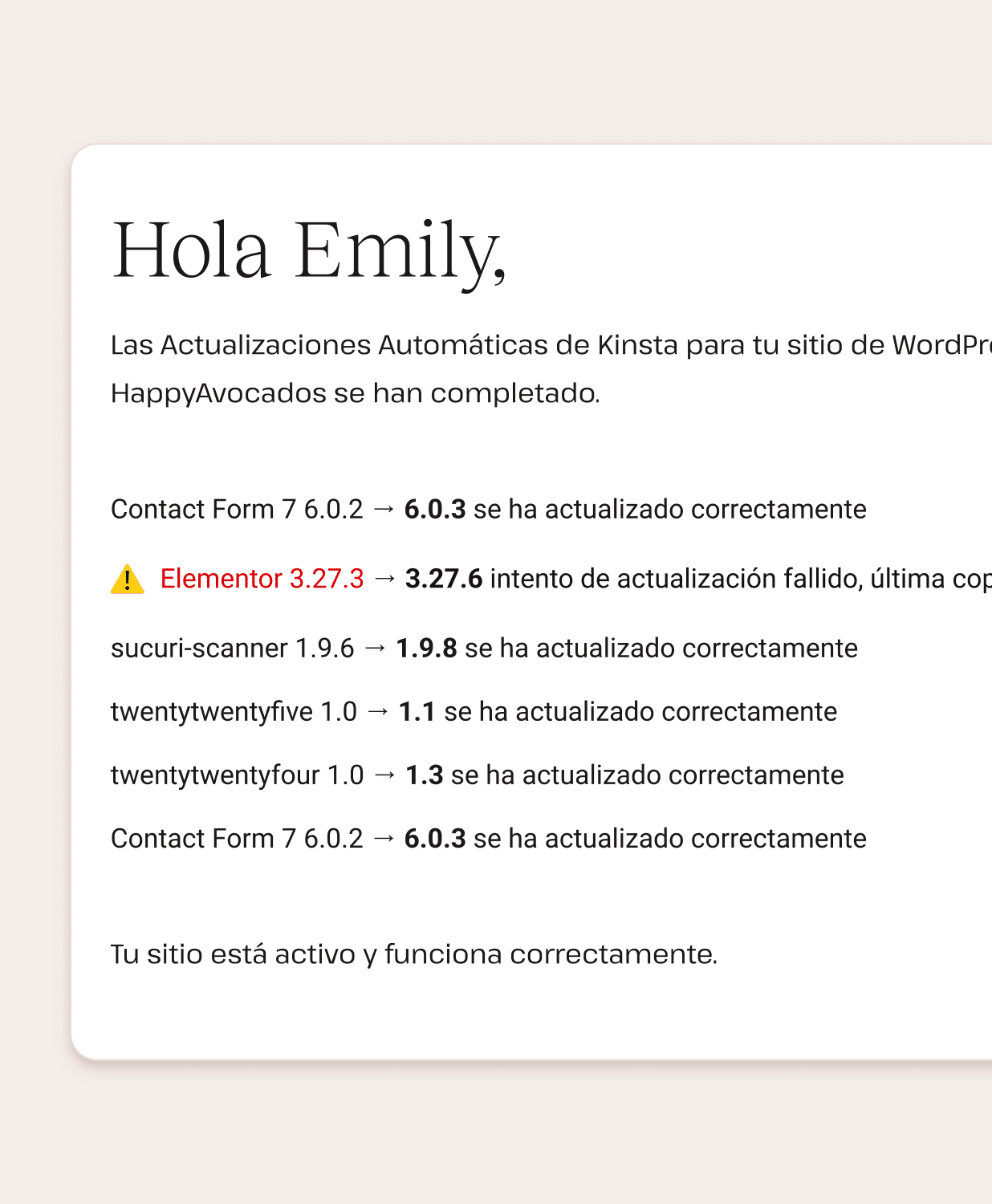 Mensajes de error de actualizaciones de plugins y temas