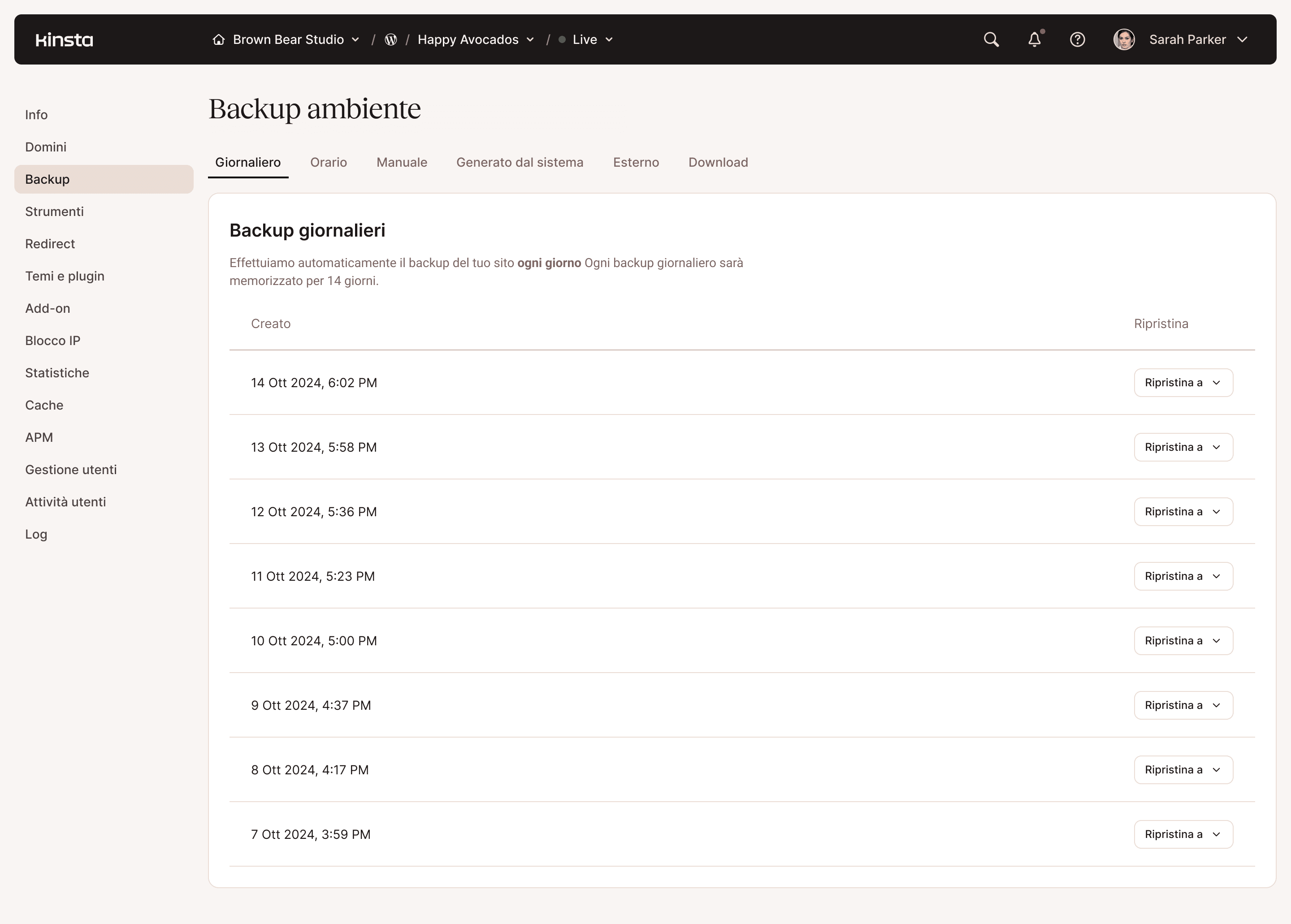 Web hosting environments backups configuration panel